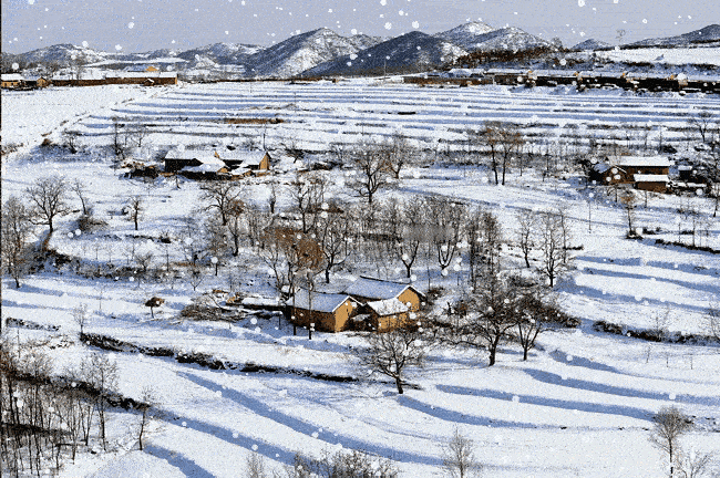 初雪漫飘妆野陌，
北风轻卷洁新城。
横批：《初雪与北风》