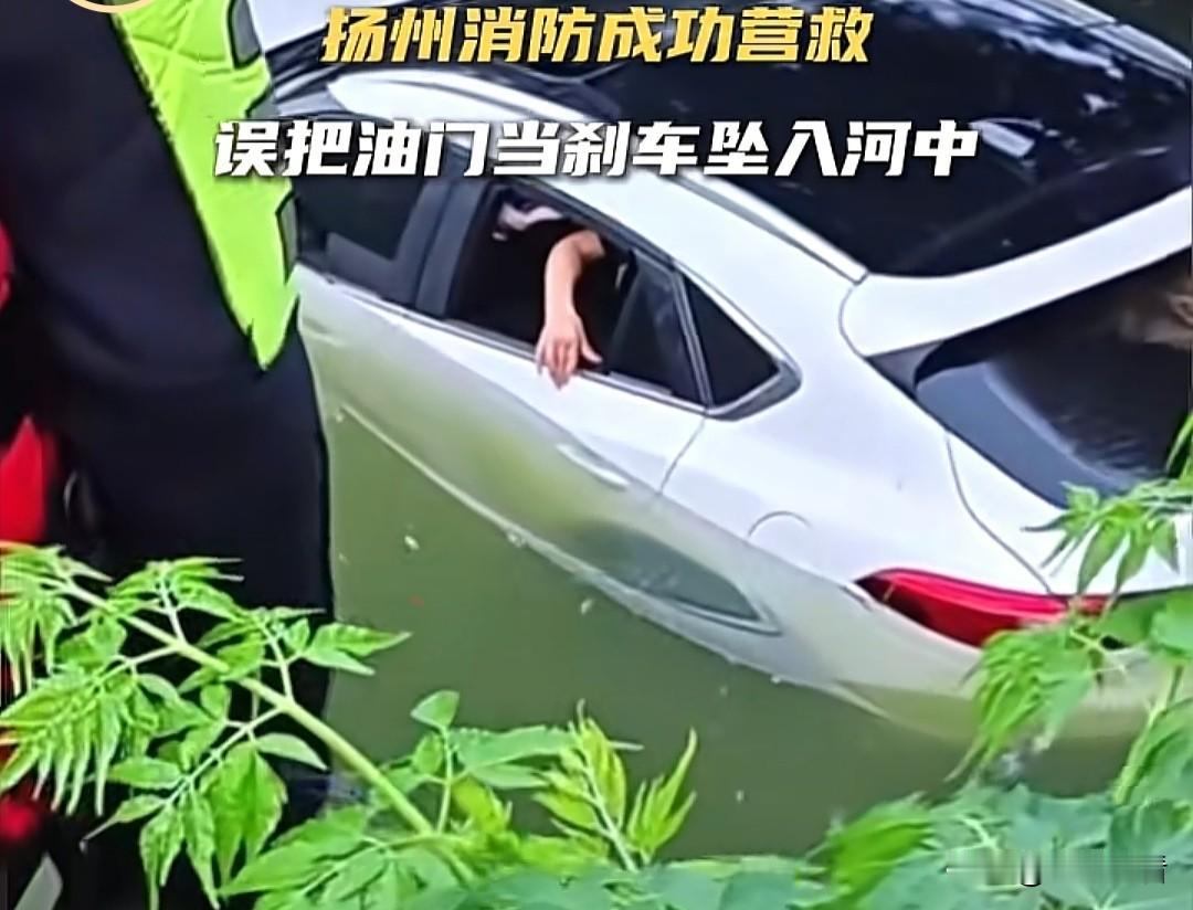 近日,扬州有一车主在驾驶过程中
不慎将油门当刹车，倒车坠入河沟中，当场变身水上潜