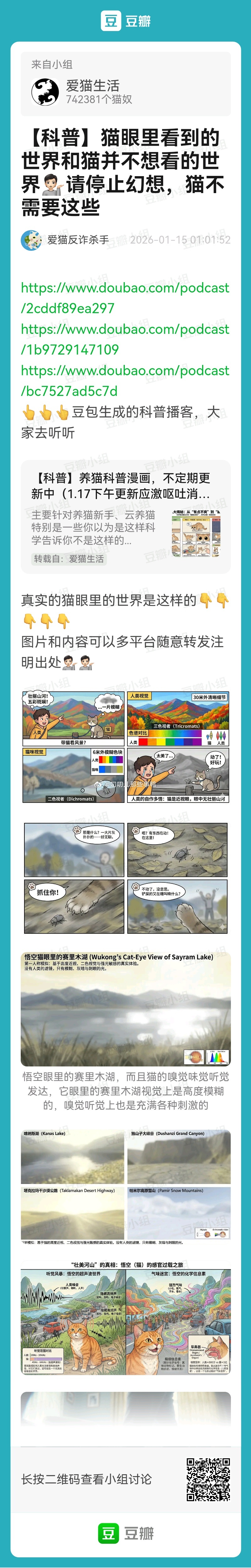 搬→【科普】猫眼里看到的世界和猫并不想看的世界～🐱🐱 