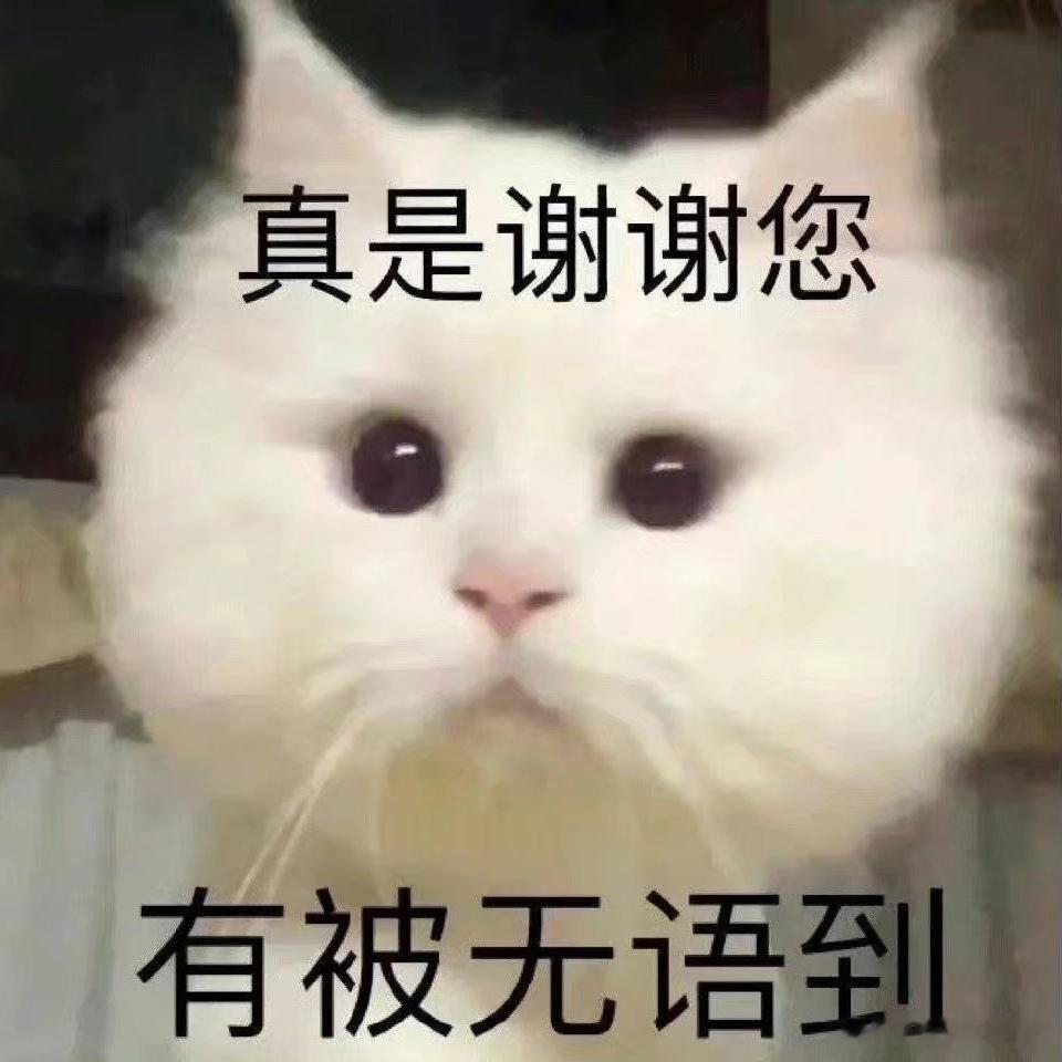 大吉胡咧咧 挟恩不图报43枣康今天一进门就差点把衣食父母揍了，整个人非常老实，一