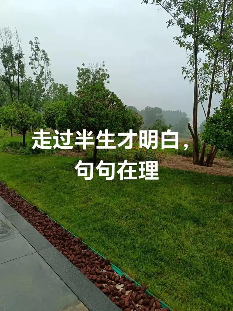 为什么人到中年，肩上是责任，身后无依靠
 
人到中年，才读懂最扎心的一句话：肩上