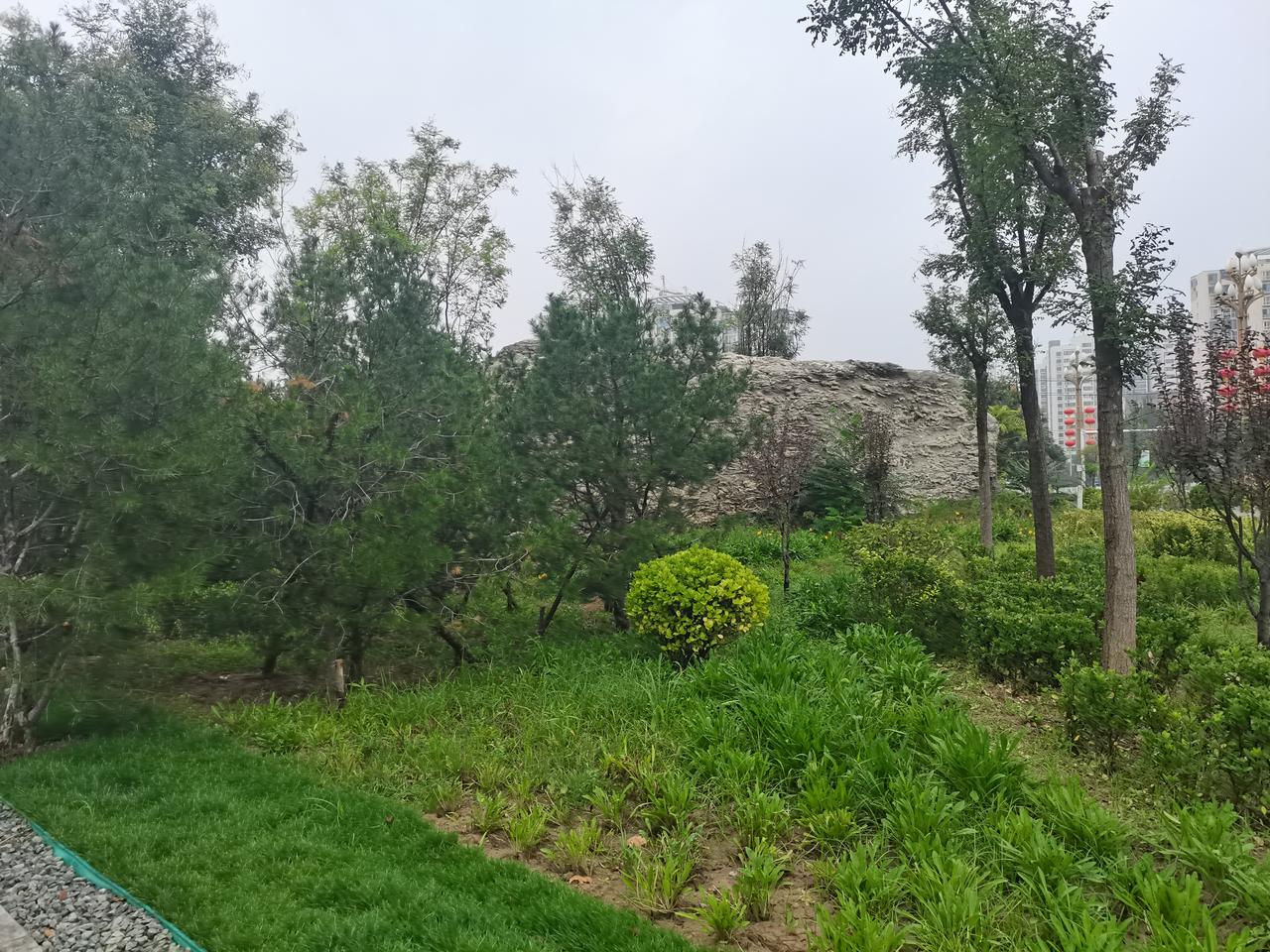 七里河竹园
七里河北岸有一座
竹园
近期全部修缮完毕
正式全部对外开放
偶尔路过