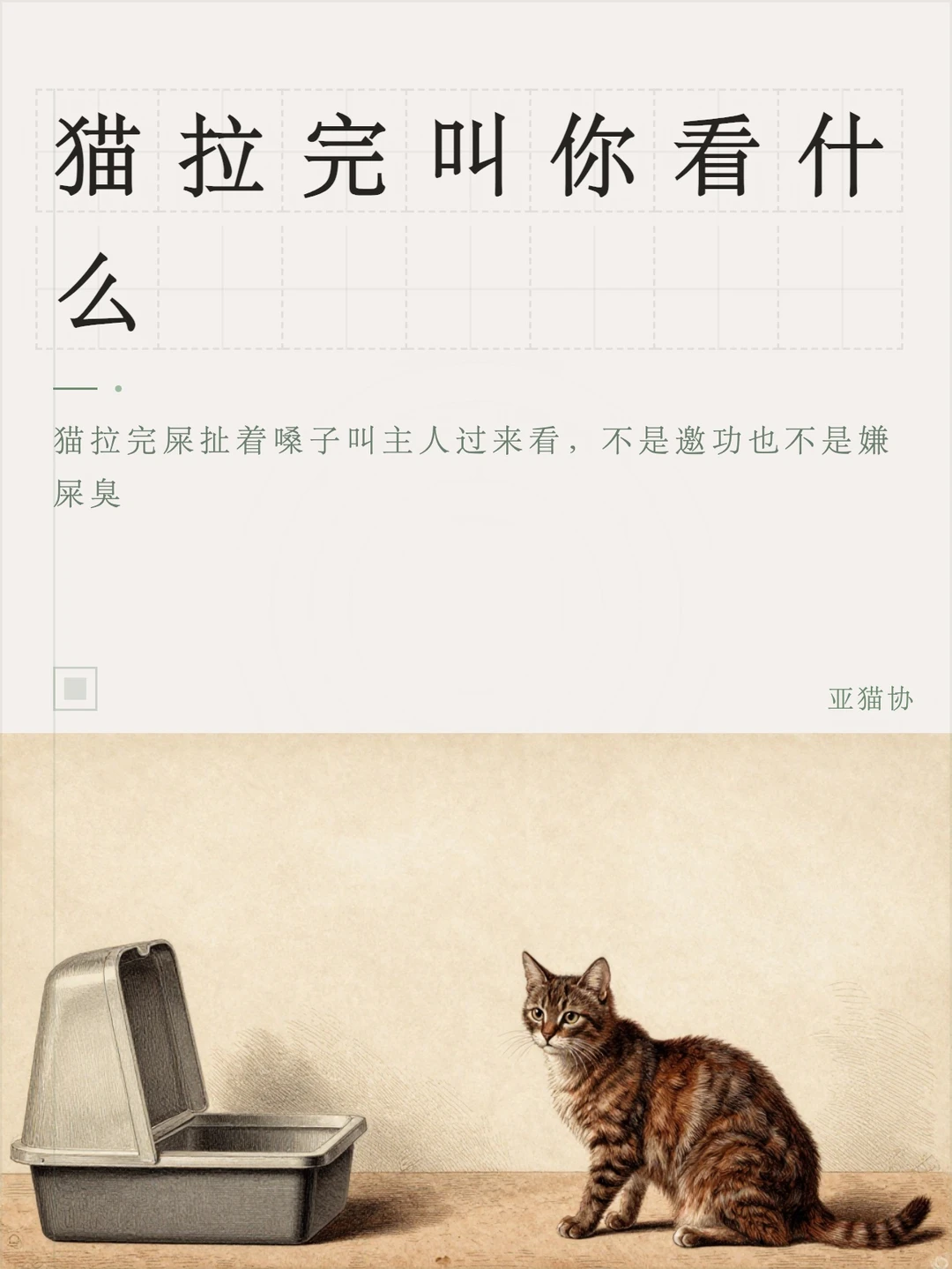 猫拉完叫你看什么