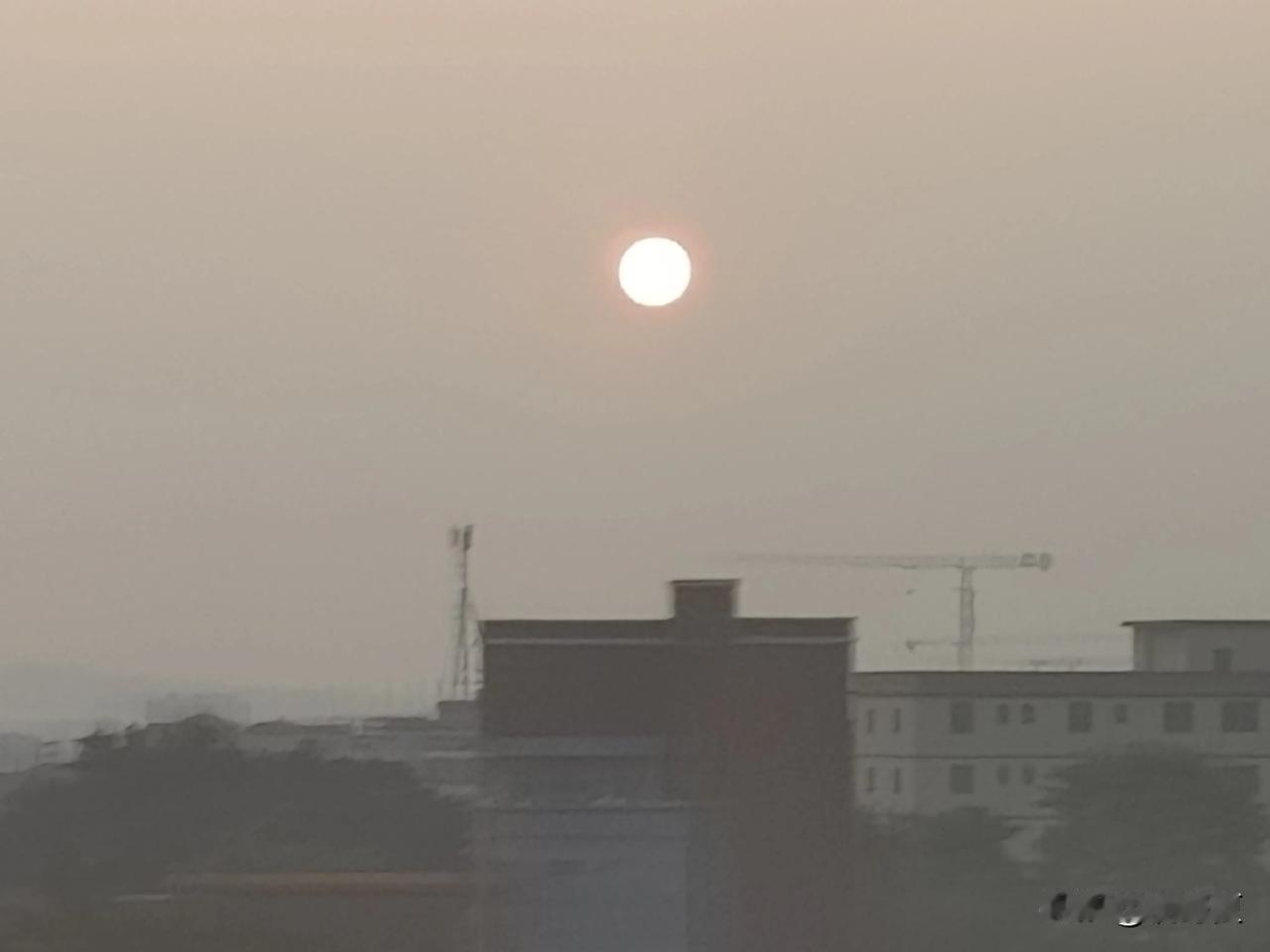 冬日生活打卡季