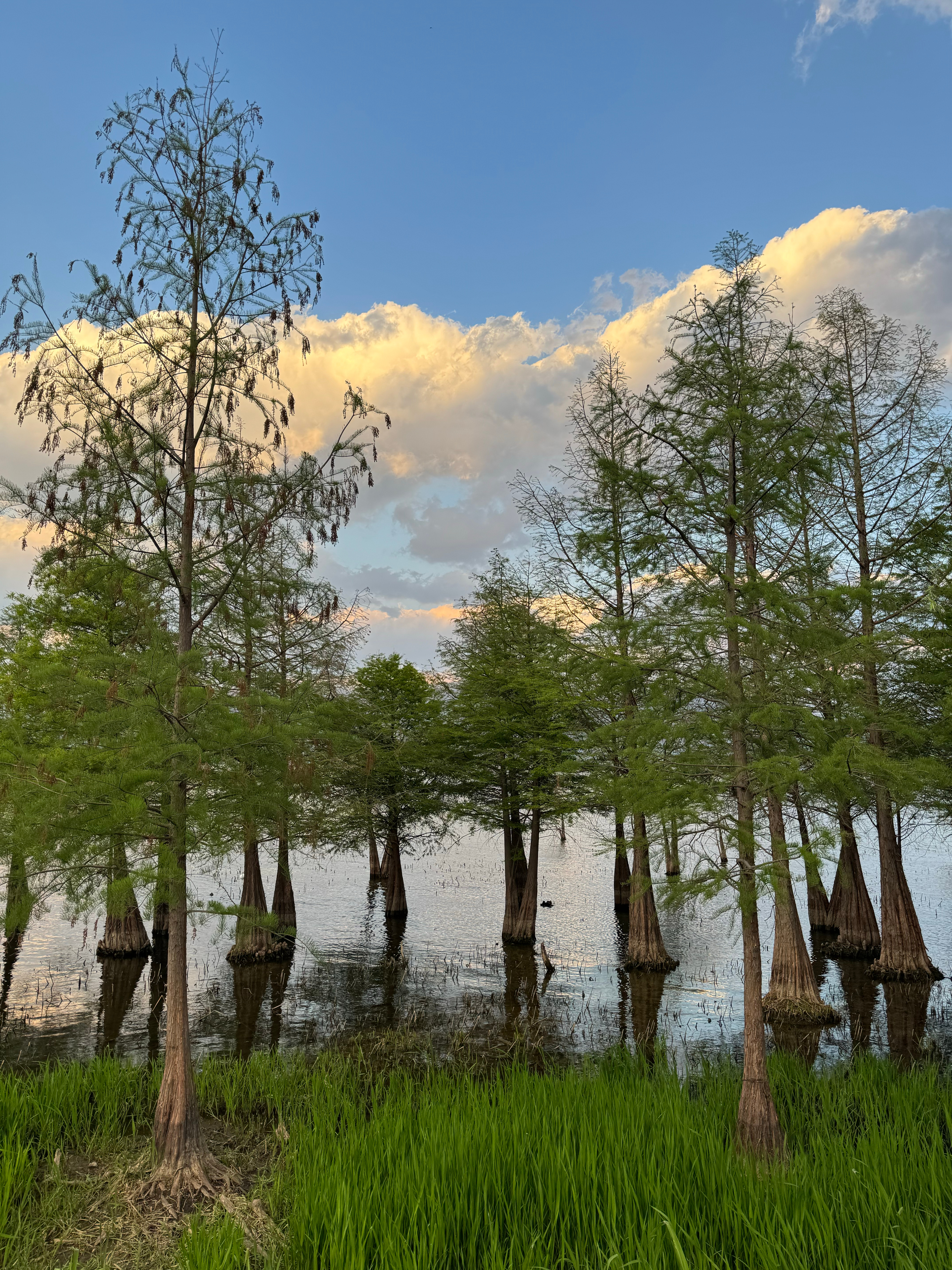 住在这么美的海边，我真幸运。  ​​​