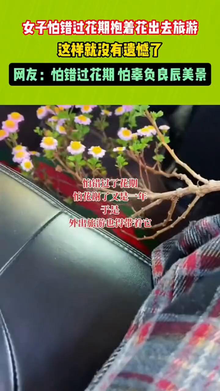 女子怕错过花期抱着花出去旅游，这样就没有遗憾了。
网友：怕错过花期，怕辜负良辰美