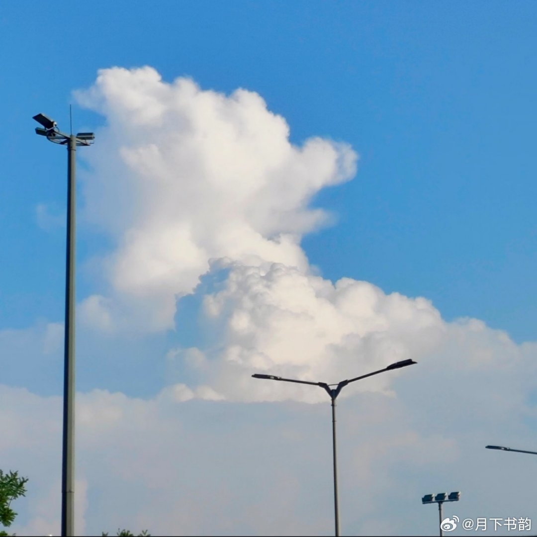 早安 人有时候只想独自静静地待一会儿，悲伤也成享受。—— 史铁生 《我与地坛》推