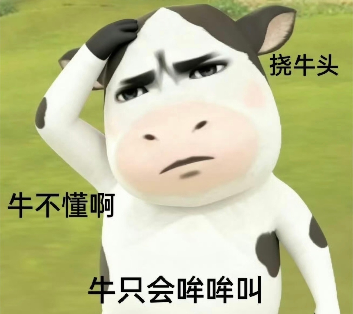 这是一期带文字的草地牛表情包大家都在用丨大家都在搜丨更适合打工人 