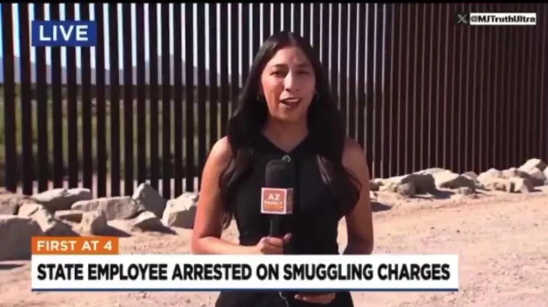 这里是：
霍布斯的犯罪企业：
凯蒂。霍布斯报道，亚利桑那州农业检查员约书亚。卡斯