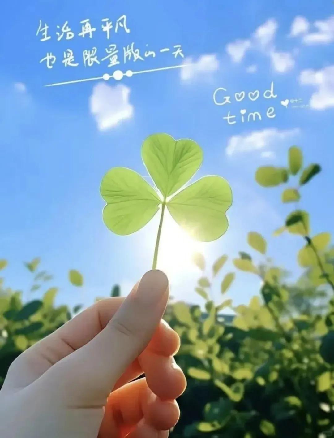 人生之路

❥⇢ᑋᵉᑊᑊᵒ ◡̈²⁰²⁴/₀₉.₃₀人生之路，慢慢亦漫漫，做一个