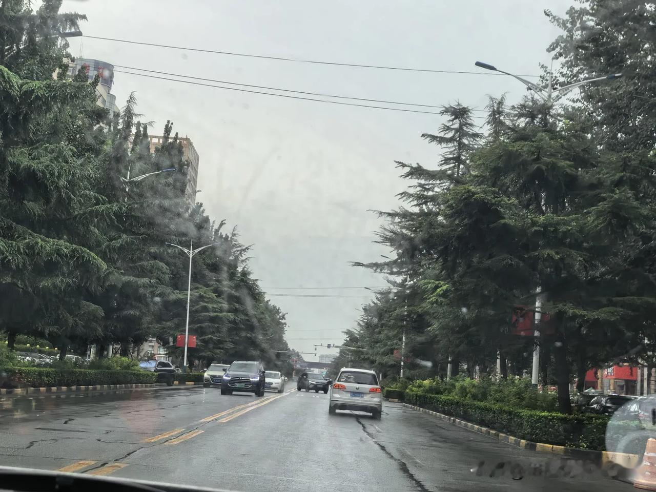 我是不是有健忘症？我不愿意承认，但事实证明确实是这样。

这几天因为保险红利我去