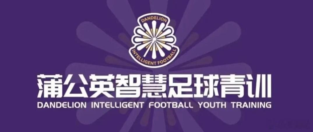 【为什么国内的俱乐部生存这么困难（下篇——立足国情，寻找中国足球自己的出路）】本