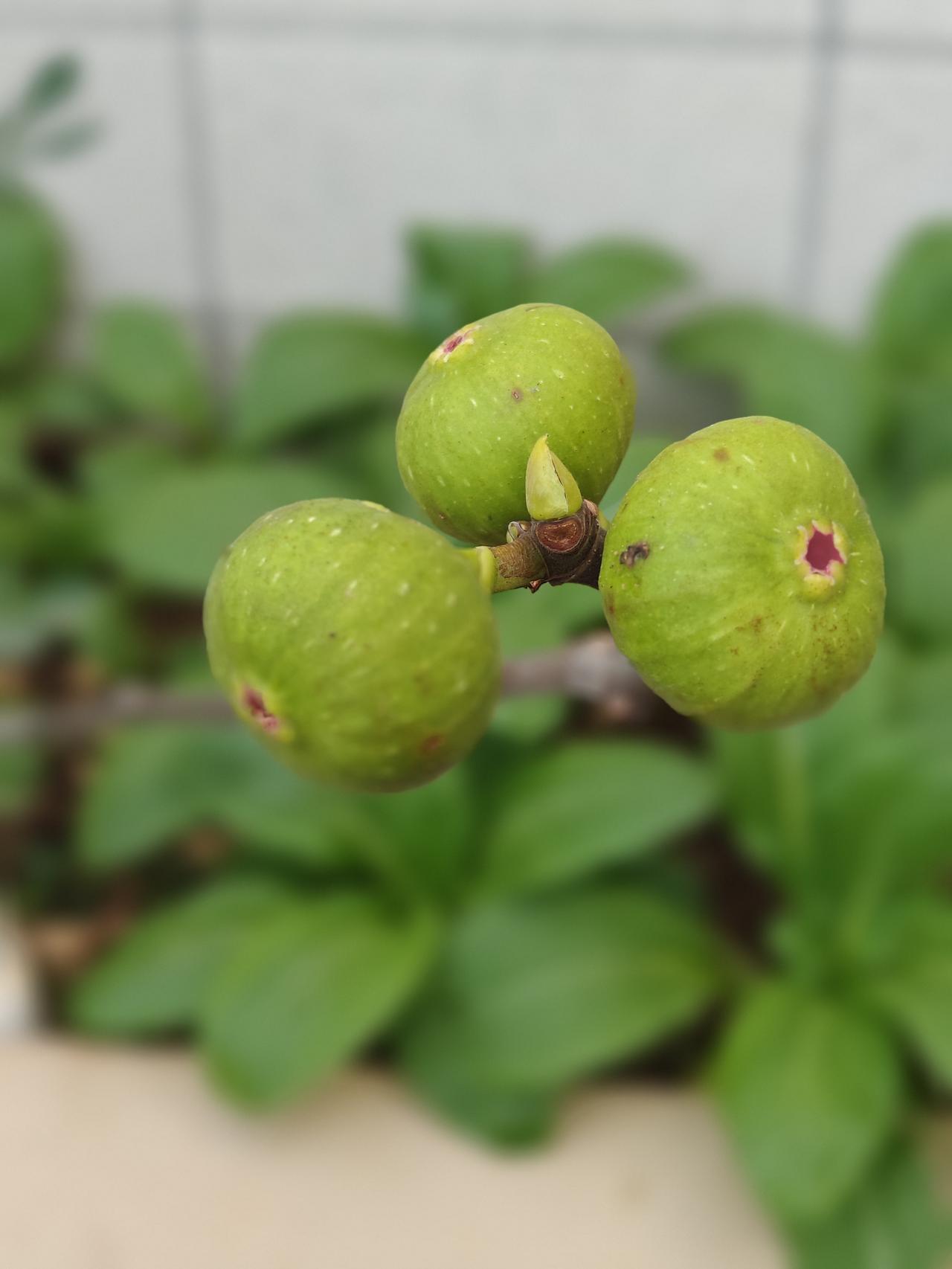 广东这一波男女篮夺冠，可把不少人激动坏了，让大多“拓拓”入院啦，而且这后续影响想