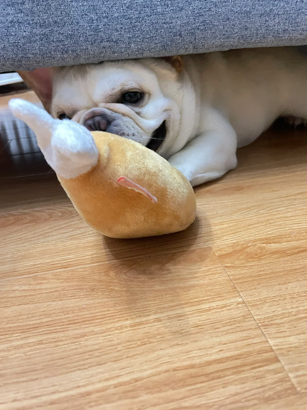 撬起沙发只需要一只鸡腿