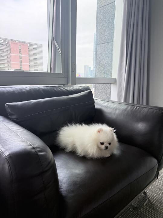 作思考装🤔
