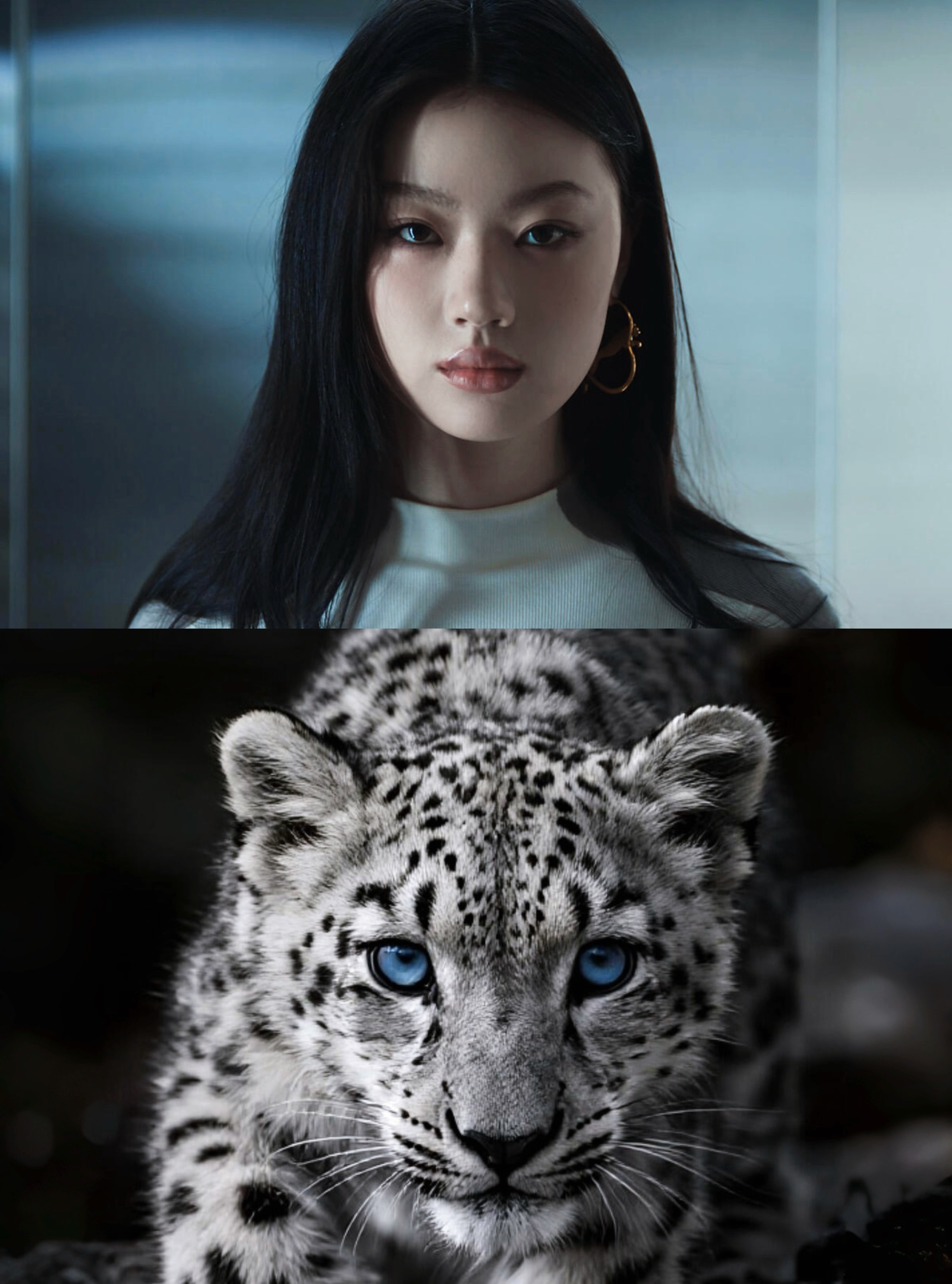 第一个想到豹塑单依纯的真是个天才。🐆 