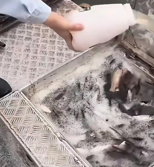 成都也开始执行食品安全举报有奖制度，就想问问咱们石家庄什么时候能设立这样的有奖举