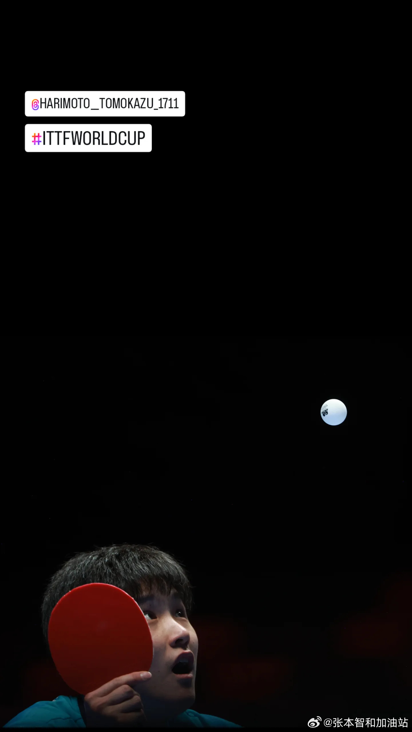 2026澳门乒乓球世界杯张本智和 Cr: Pink Pong Pictures 