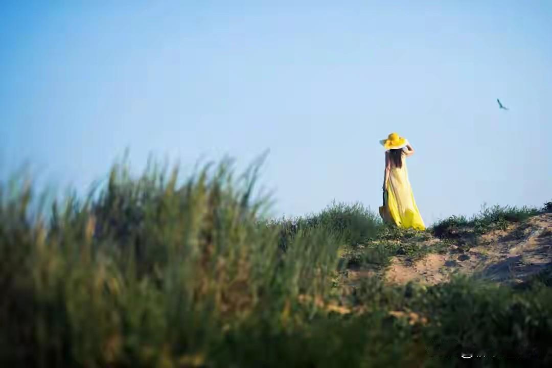 关系散场的本质：价值无法再同步：1. 关系散场的本质：价值无法再同步。
有些人走