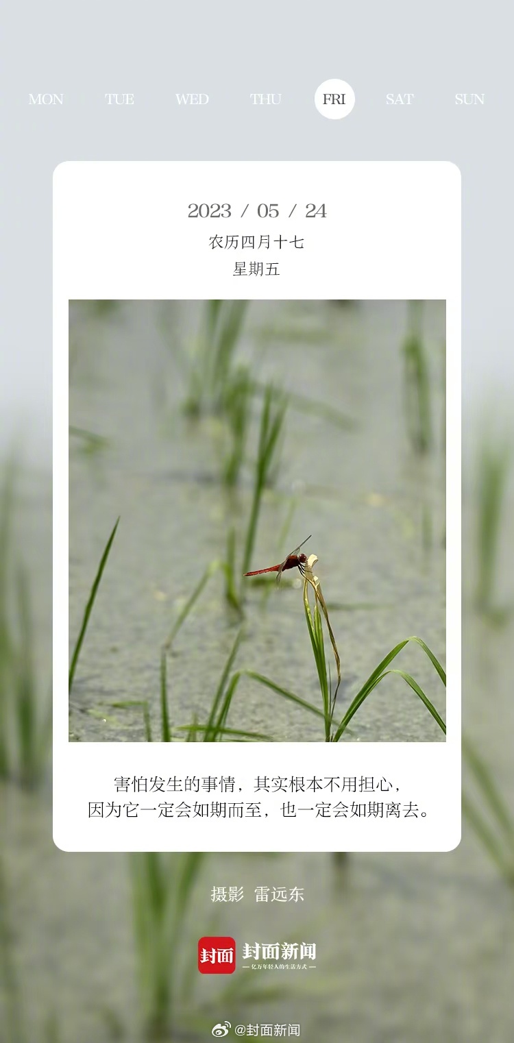 #小封日历#早安！周五啦，#今天你几点起床#，评论区见↓↓ ​​​