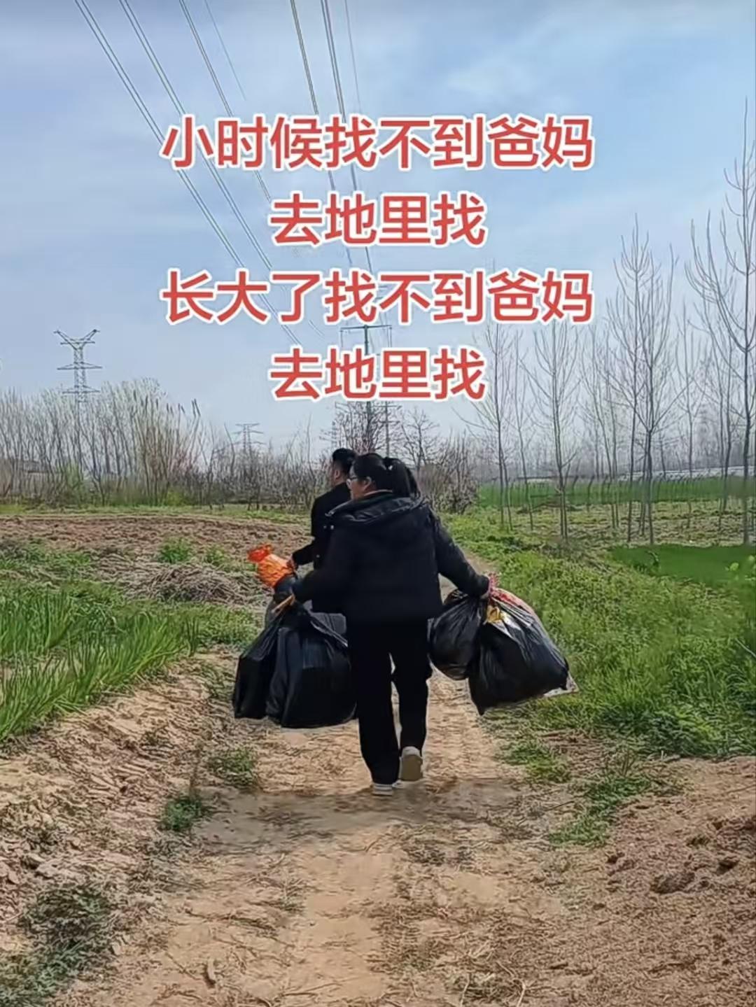 山坡羊·清明思亲 
儿时寻处，
田头相顾，
黄土埋得童年路。
忆音容，叹离疏。