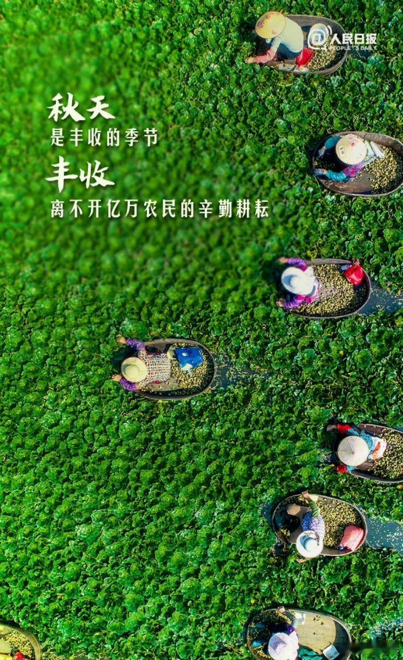 早安早安心语早安,新的一天  早安心语超话  治愈不开心人生感悟人生微语每天说早