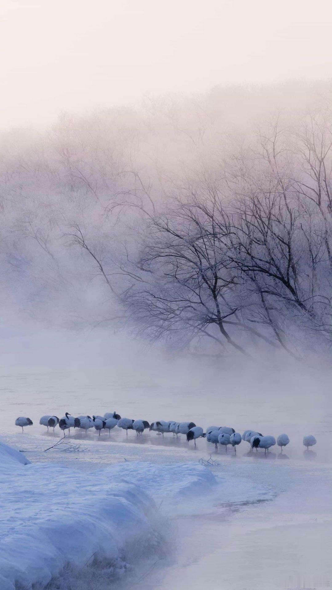 '早安早安,新的一天治愈不开心人生感悟人生微语早安心语 情感语录每天说早安心情日