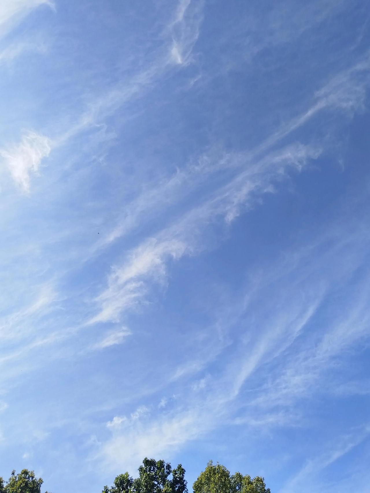 刷到好多人都在发十一假期不知道干嘛，一个人手机不响，没有能约的朋友，其实这才是常