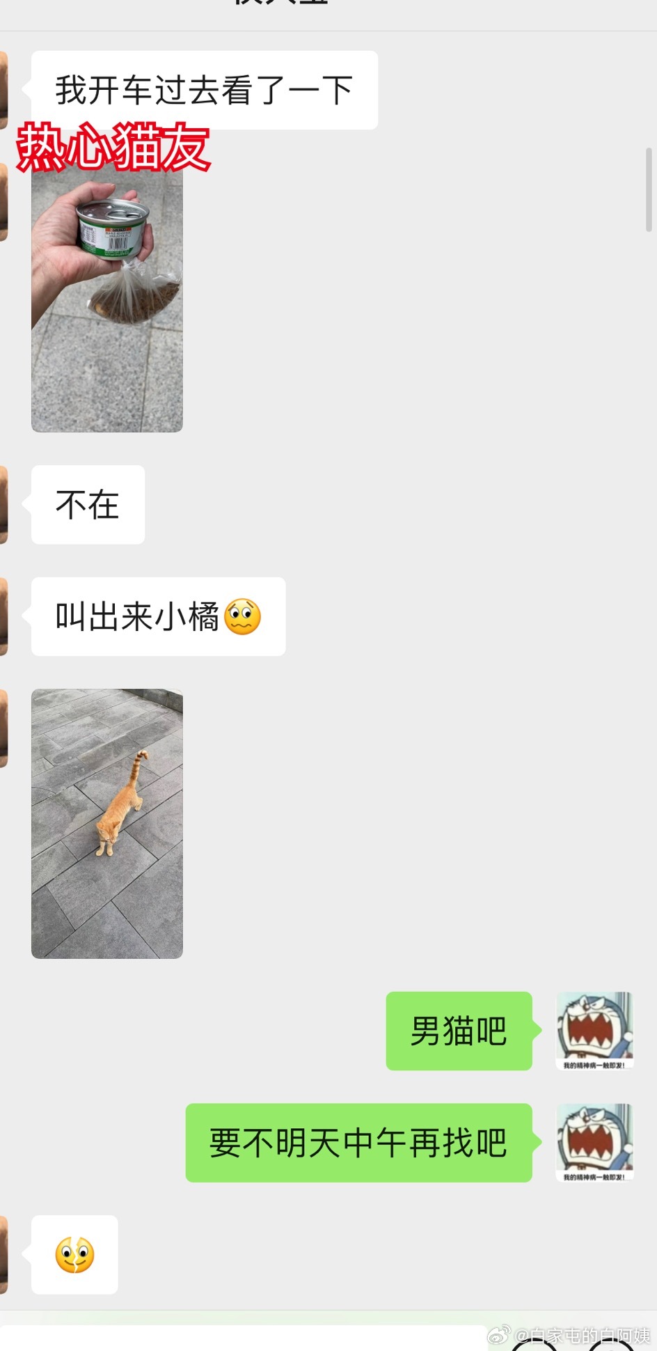 我一个i人，为了猫，活生生的被逼成e人……烟酒女士这几天不在楼下，我们园区的热心
