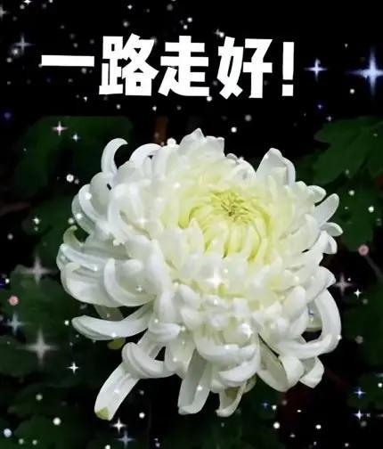 谁能想到，刘欢老师走得这么突然。
 
很多人以为，2023年从对外经贸大学退休之