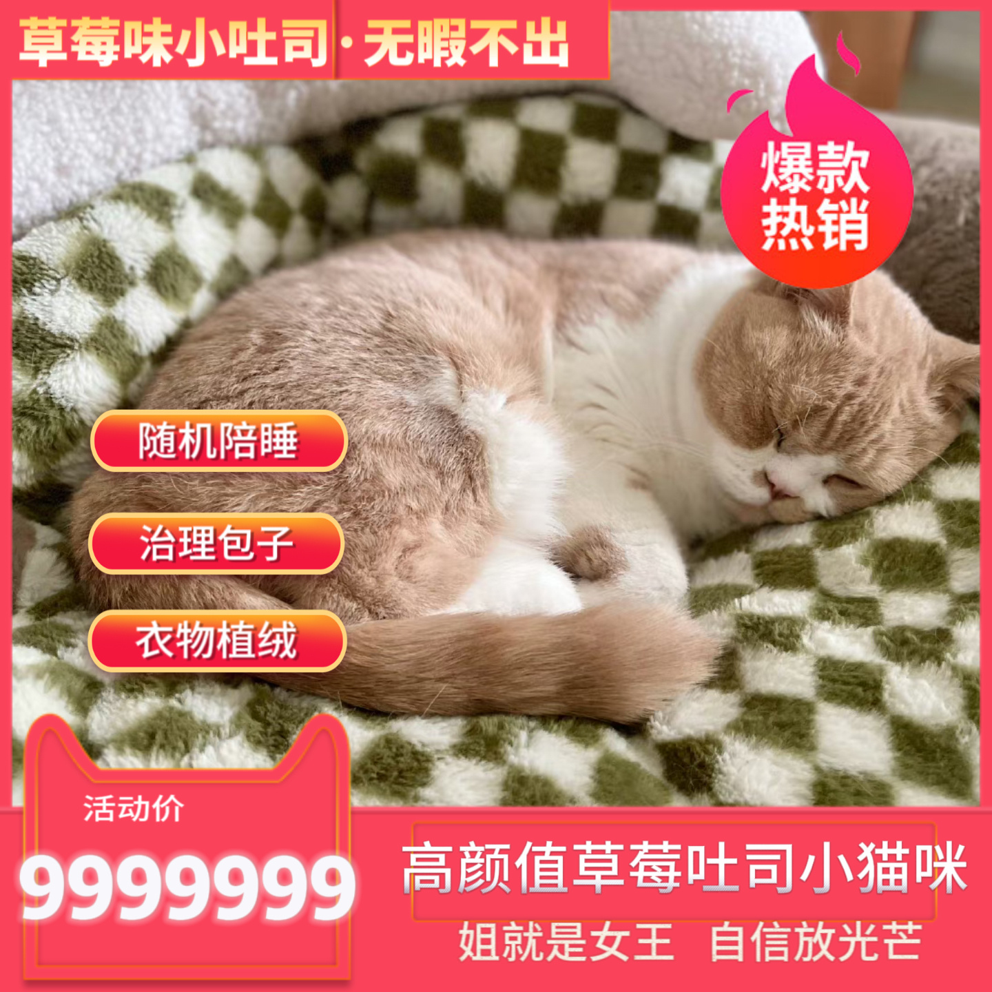 #等灯[超话]# 不好意思，刚刚工作人员设置错误了 ​​​