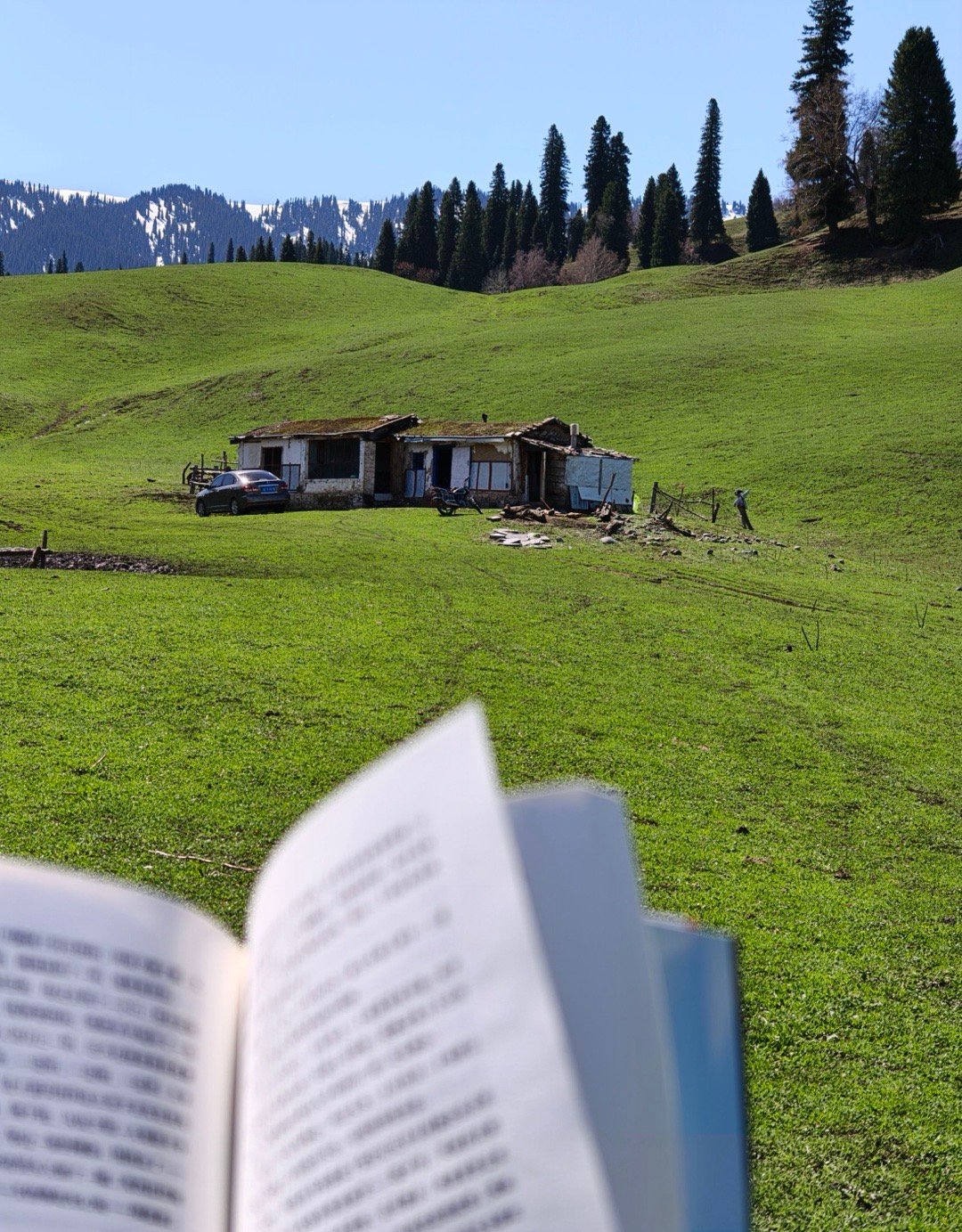 除了朋友圈改版安卓版微信贴图，已支持发布2亿像素原图，OPPO是率先支持贴图分享