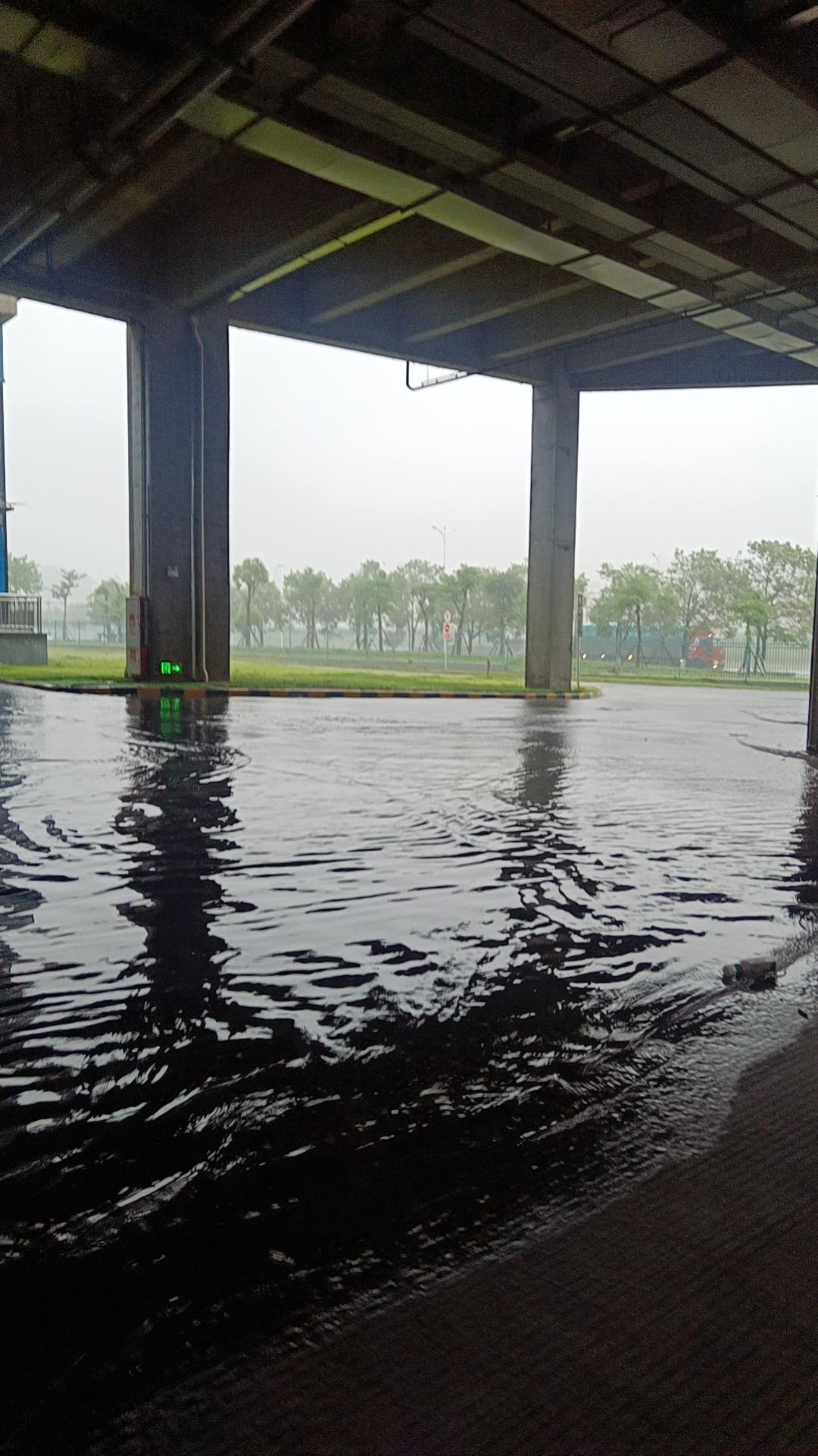 大暴雨过后，公共卫生间成了这样，大家知道这是从哪里来的黑糊糊的？