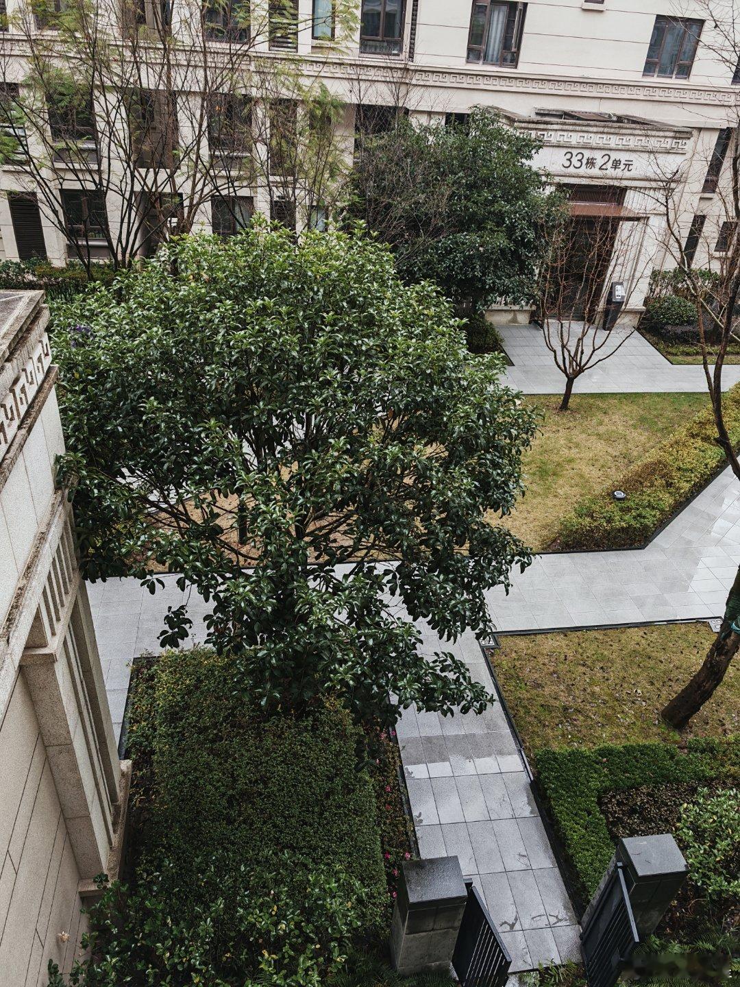 回来几天了，每天都是雨雨雨。！。真的好烦！！！真的很讨厌下雨天啊[裂开][裂开]
