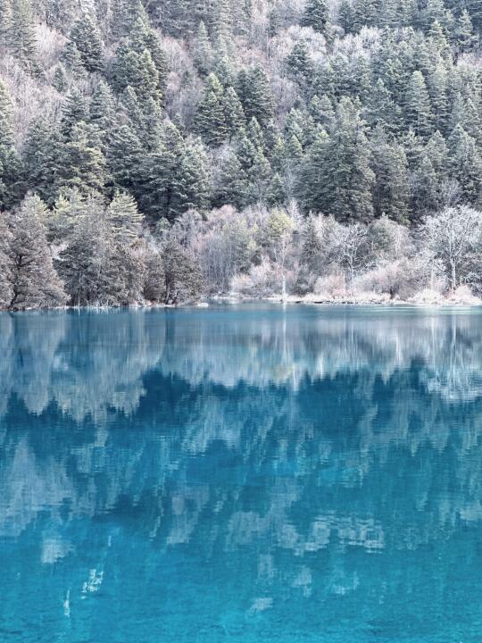 下雪之后的九寨沟劝退不了一点！太美了呜呜