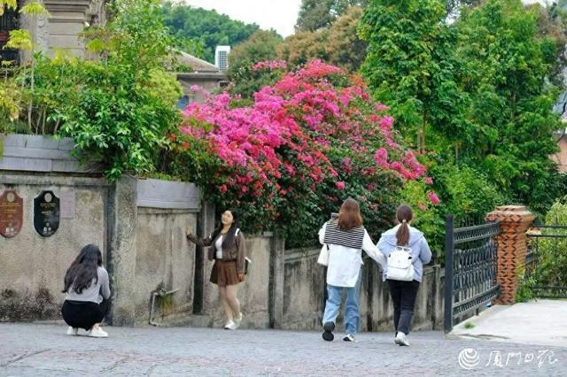 请备好雨具！未来几天鹭岛晴雨多变，或有轻微“回南天”