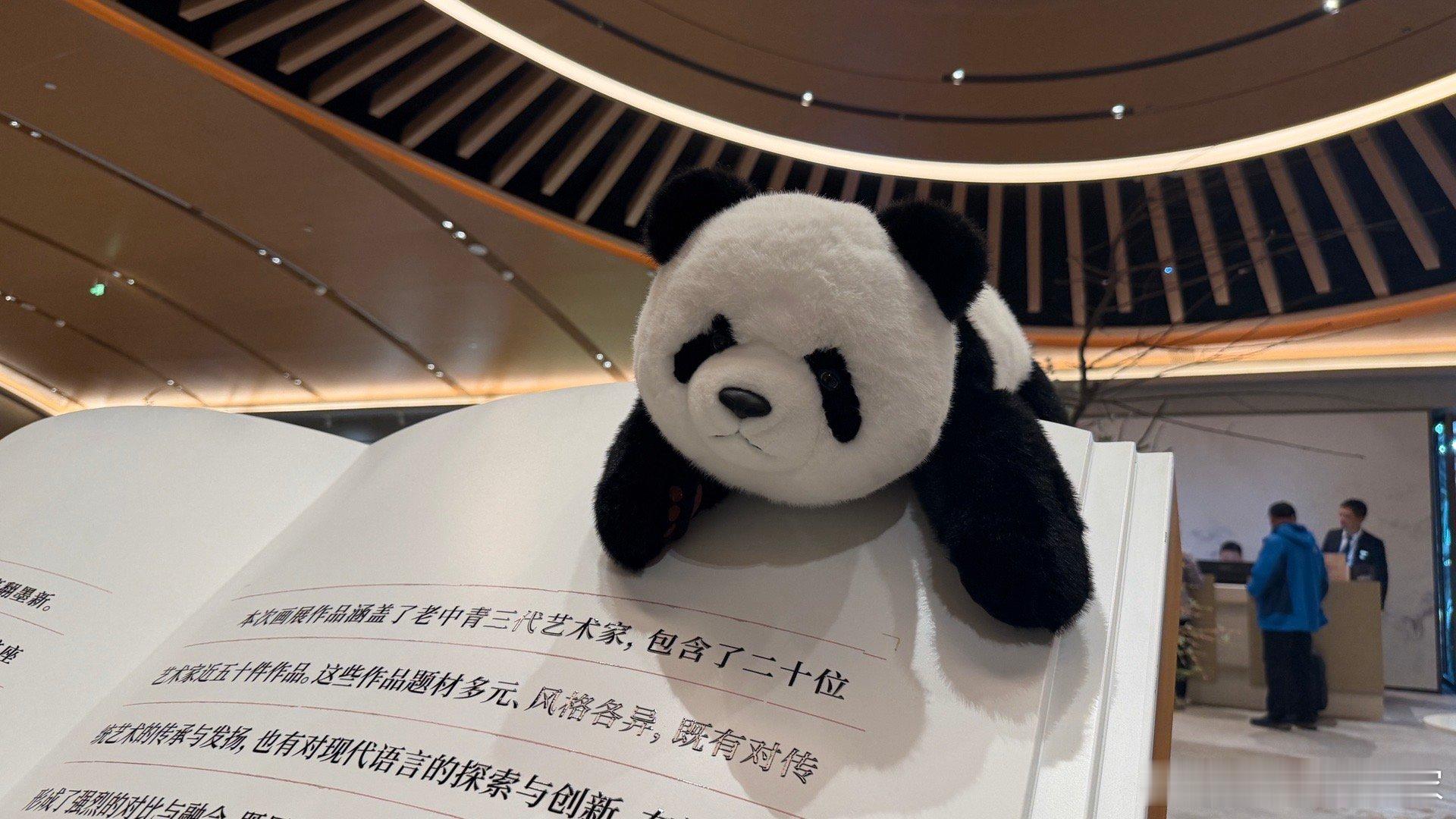 2025双11 不知道是不是错觉，感觉今年的11.11没什么感觉…[无聊] 至少