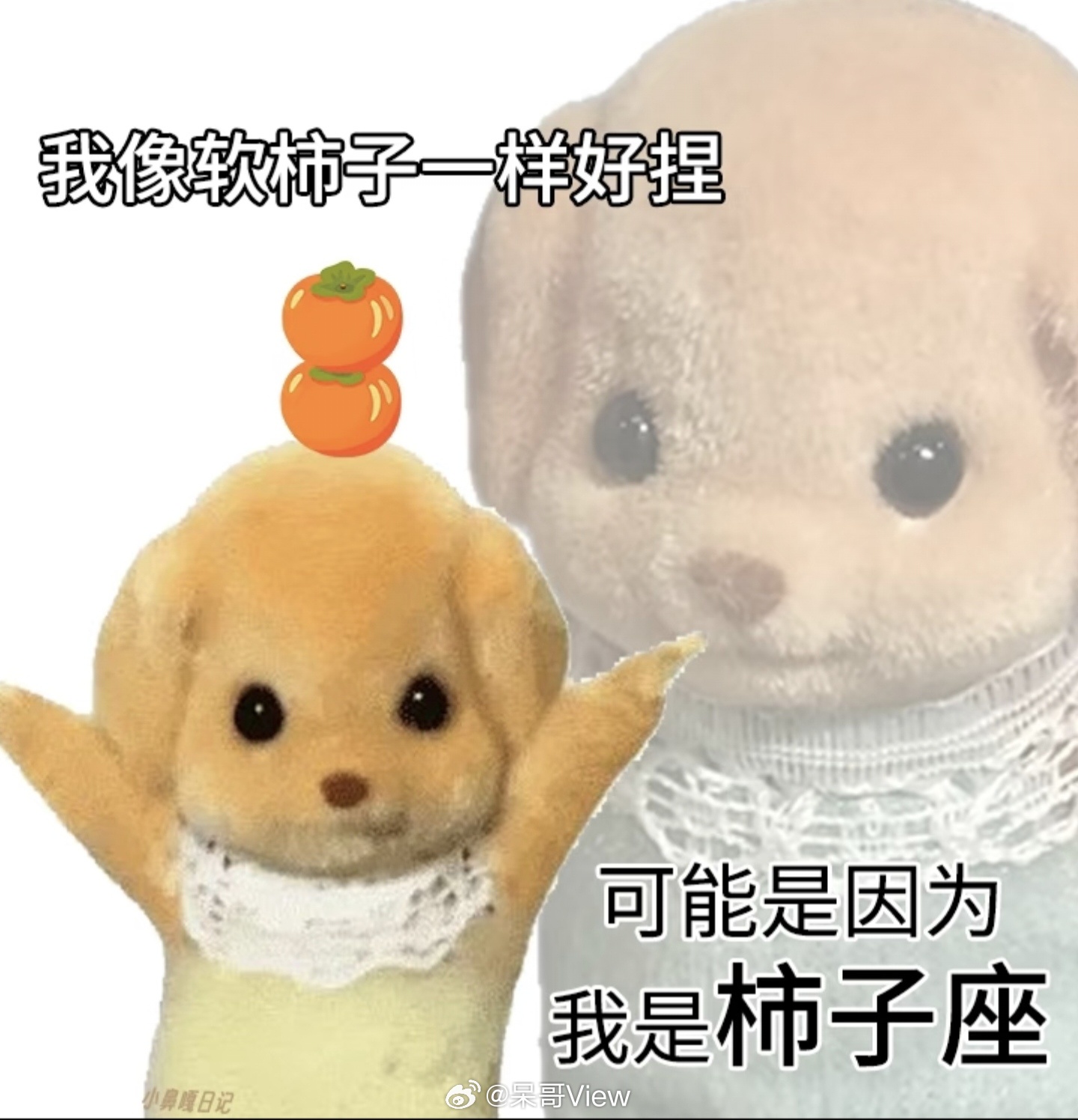 5月放假12天，谁懂啊！！！清明假刚缓过来，一翻日历直接笑出声，平均算下来上两天