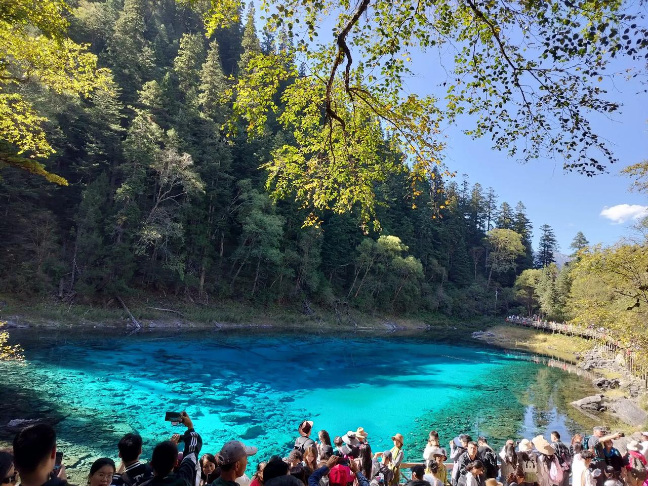 天南地北大拜年中奖