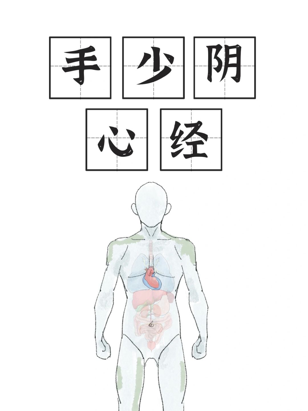 手太阴心经完结🎉穴穴都是重点🌟