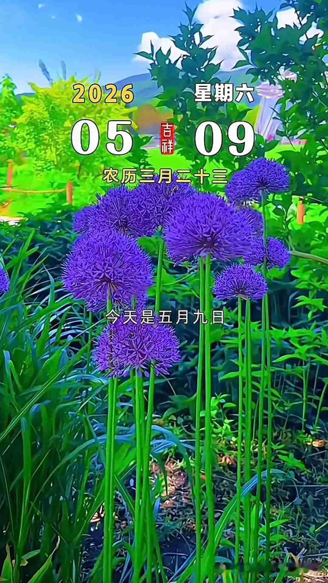 我的今日状态：😁轻松愉快
我这里的天气：☀️晴天