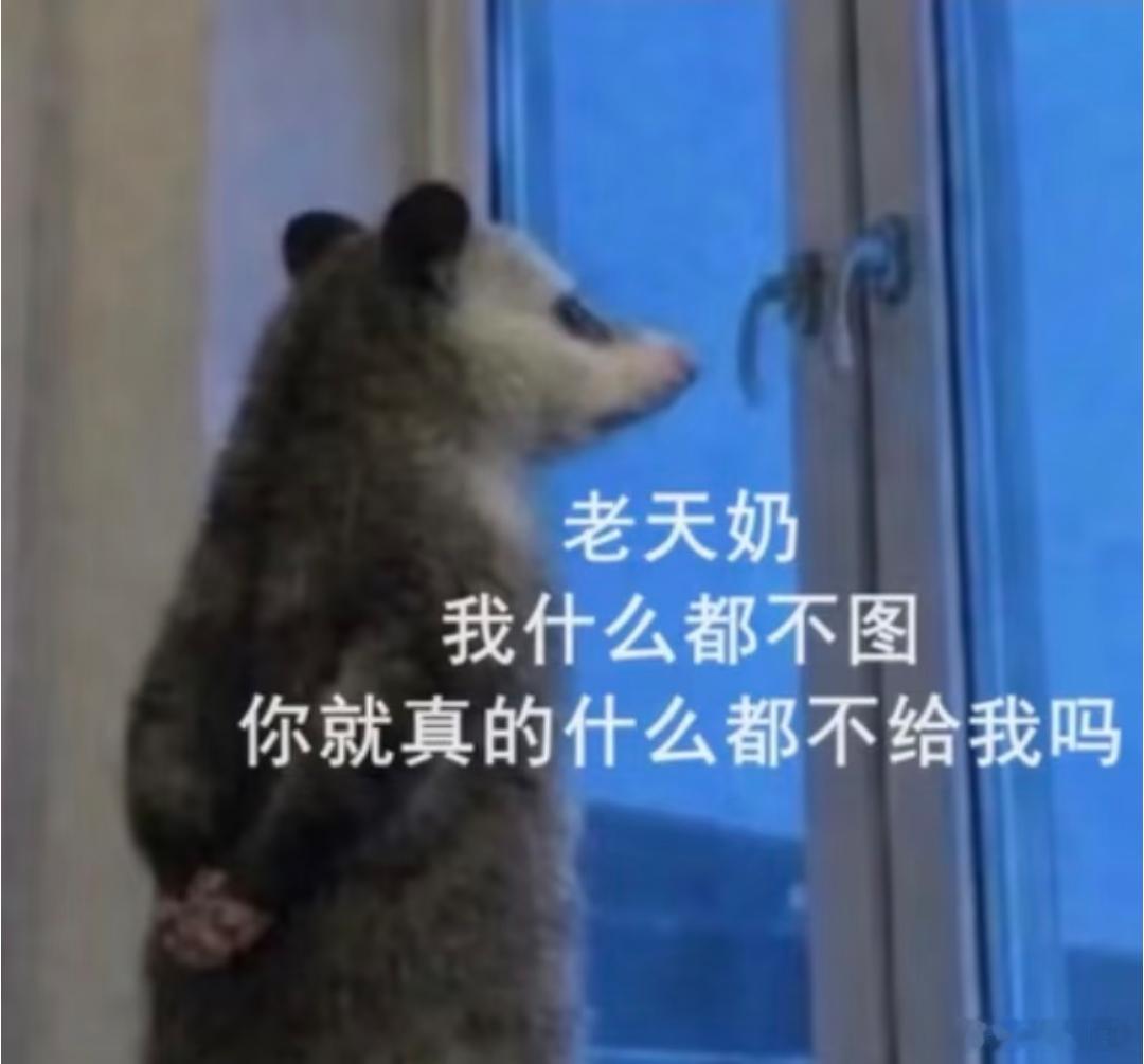 2026年最火表情包出现了啊啊啊啊啊啊啊负鼠表情包好幽默，每一张都特别符合我的精