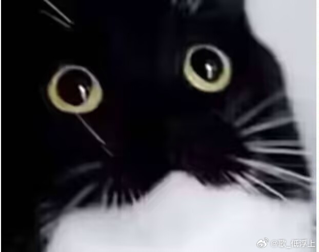 边画画边看马戏之王。。。好有力量啊。。。。！ 