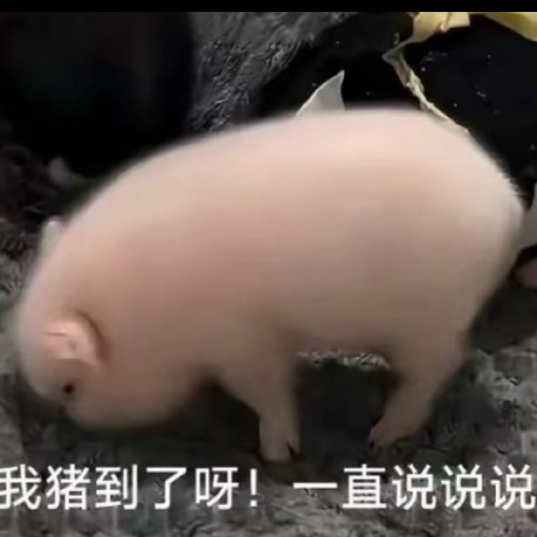 我怎么又梦到xxj了。 ​​​