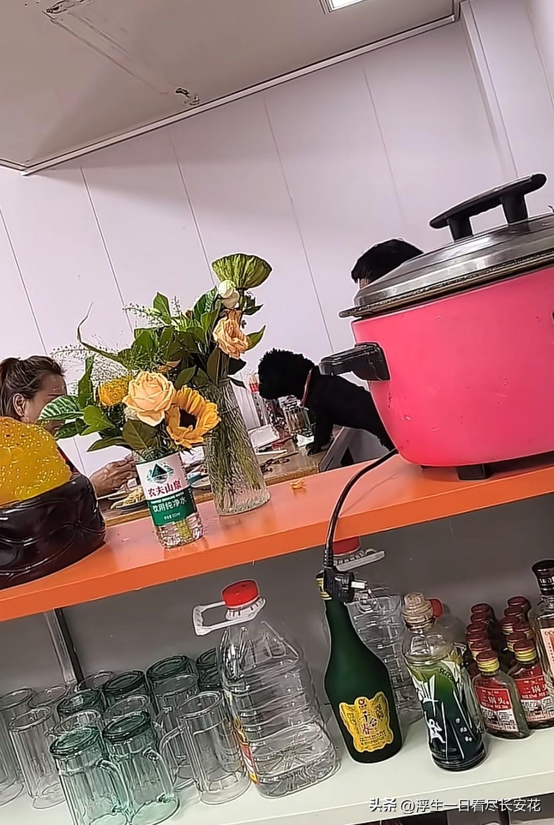 又是狗上桌，还是光明正大的喂食，这家店在辽宁抚顺，李石高丽街胡同里一个叫串门的烤