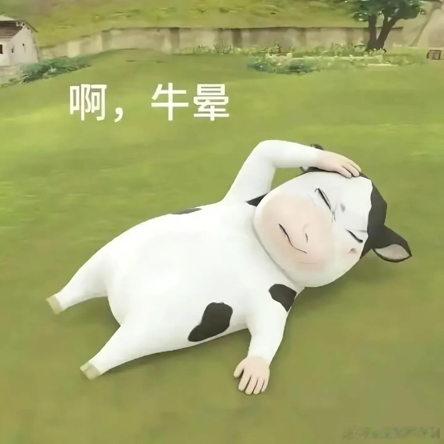 李昊李昊牛时候…？ 哈哈哈真的没忍住李昊‖ 