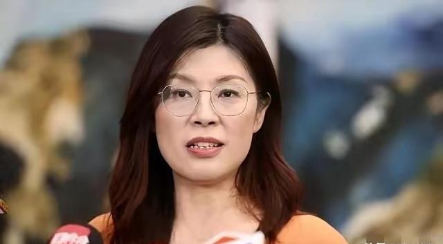 高安国被抓，郑丽文一句话引爆全网：这波操作，太狠了

高安国作为台湾陆军退役中将