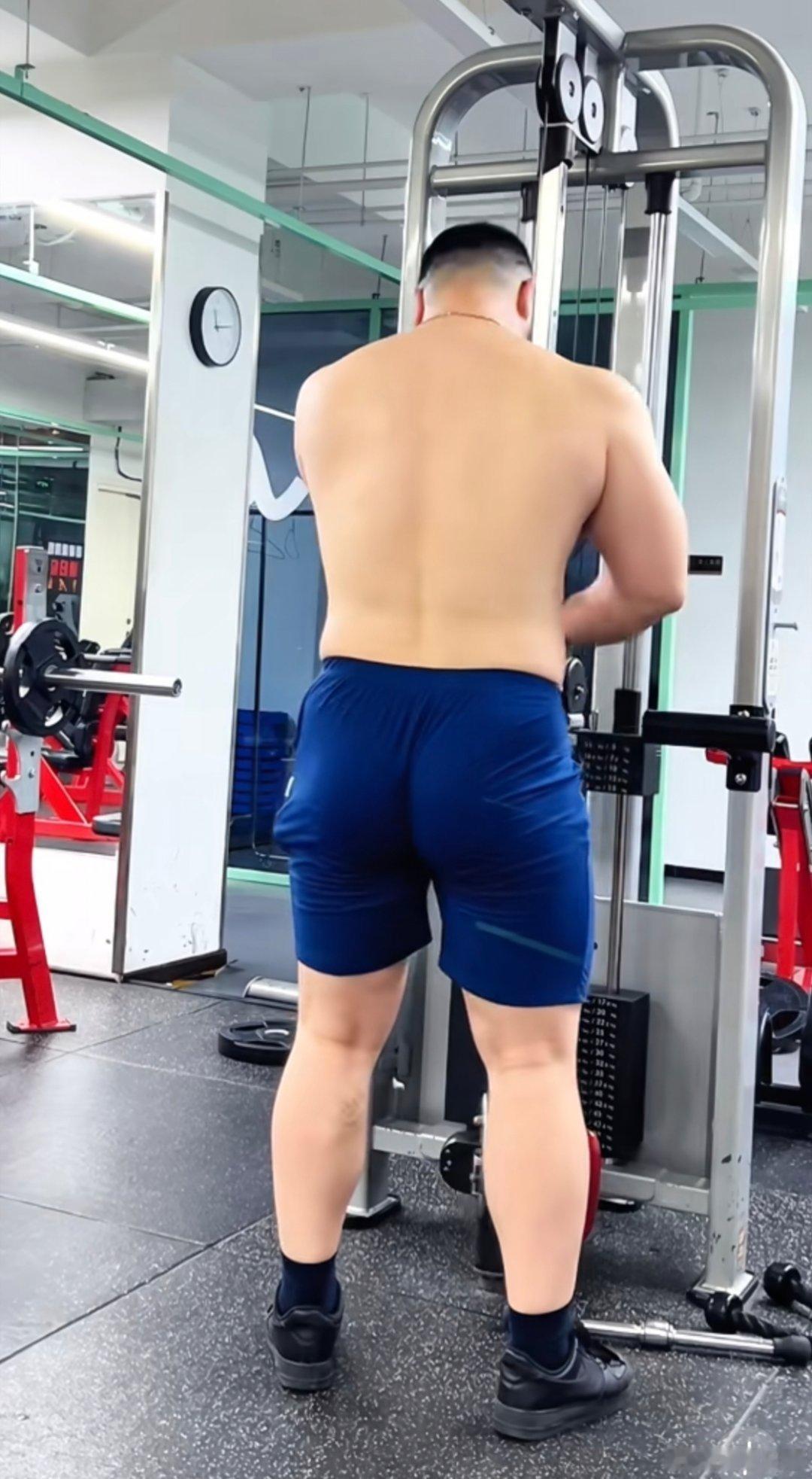 【BEAR】() 