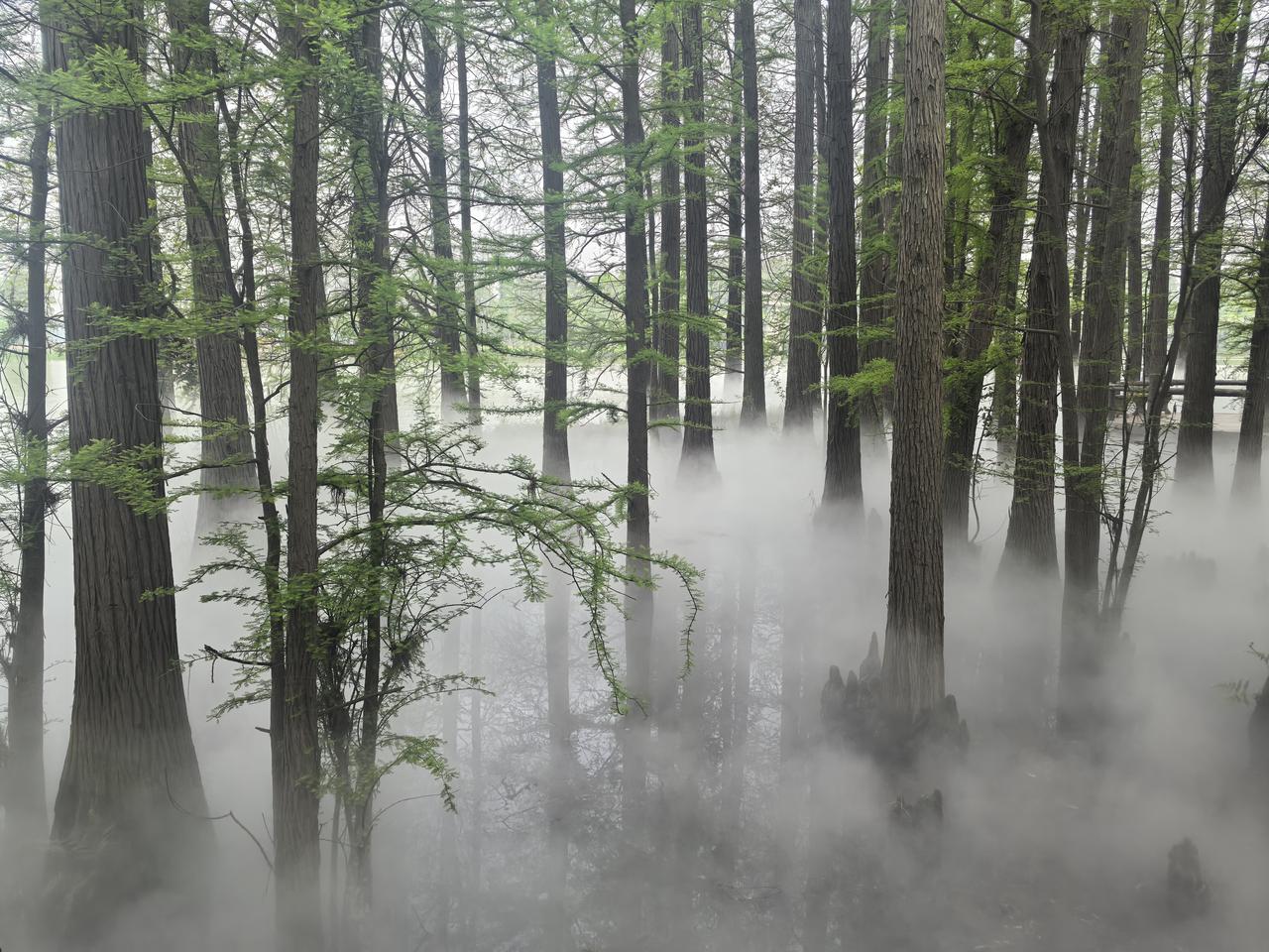 游览落雁岛美景

[玫瑰][心][玫瑰]

在武汉东湖景区有个落雁岛，那真是藏在