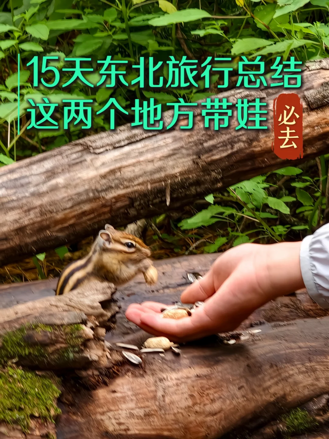 15天东北旅行总结  这两个地方带娃家庭必去